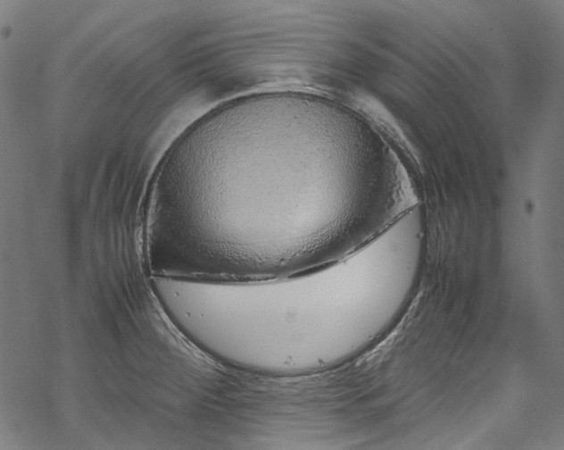 X0000070211284200605301353