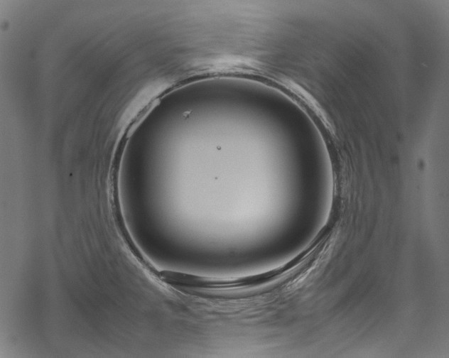 X0000070211285200605301353