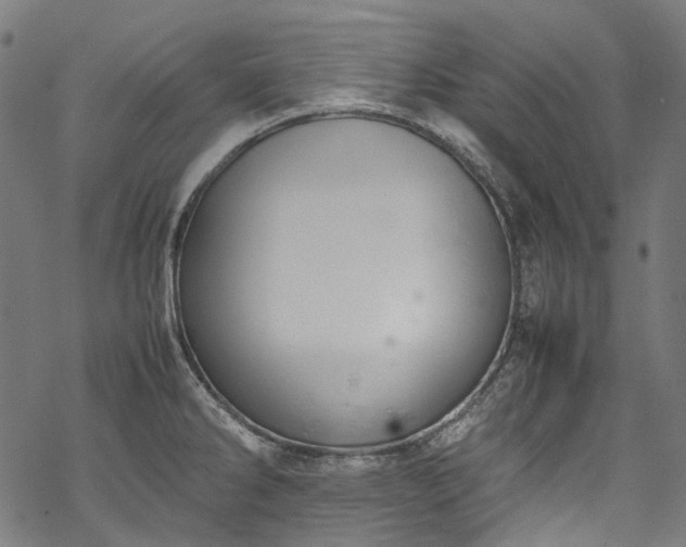 X0000070211286200605301353