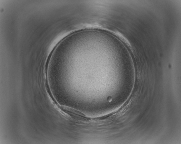 X0000070211287200605301353