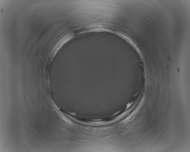 X0000070211289200605301353