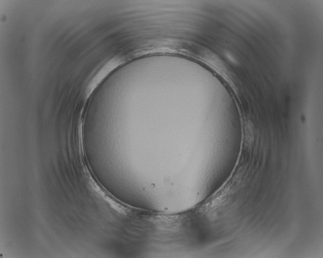 X0000070211290200605301353