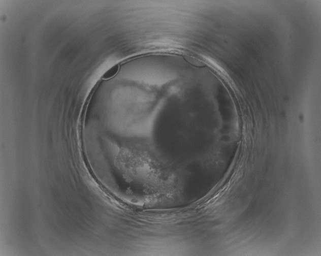 X0000070211291200605301353