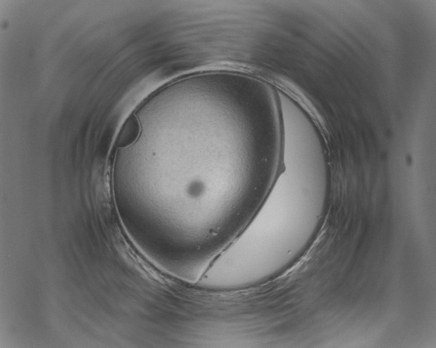 X0000070211292200605301353