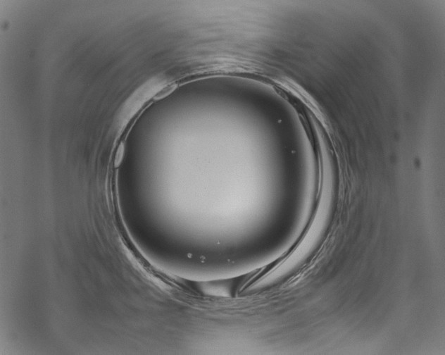 X0000070211293200605301353