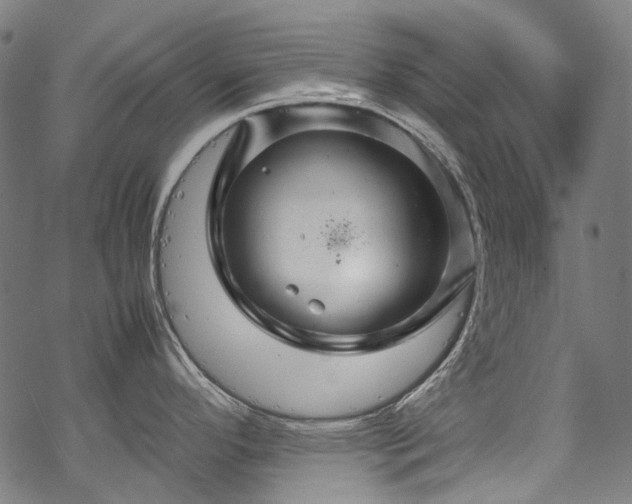 X0000070211296200605301353