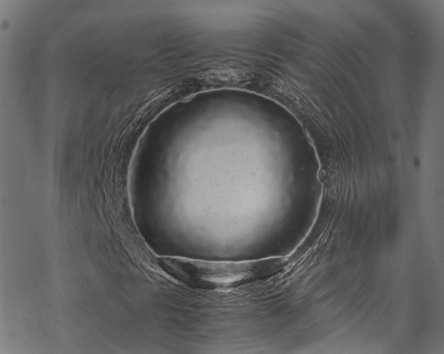 X0000070211297200605301352