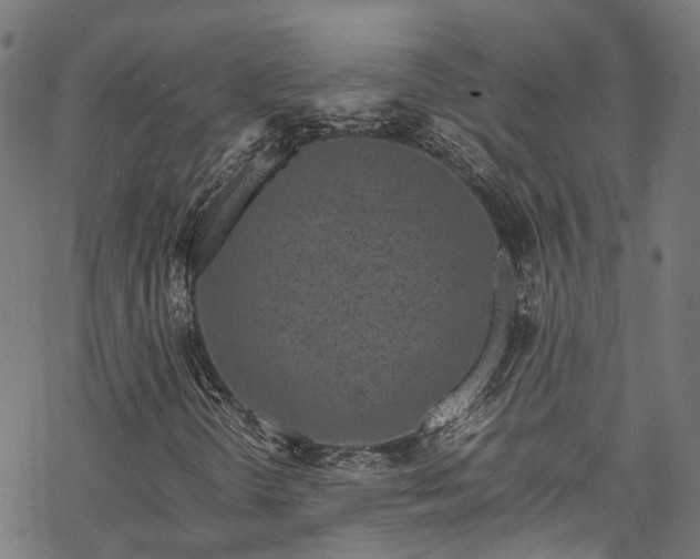 X0000070211298200605301352