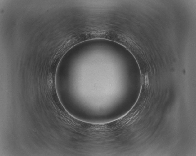 X0000070211299200605301352