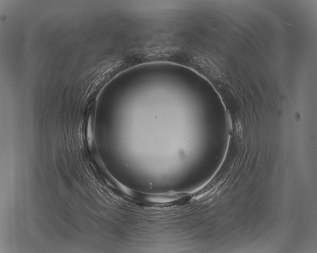 X0000070211300200605301352