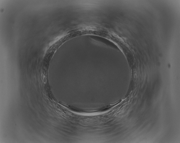 X0000070211303200605301352