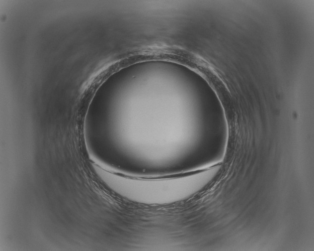 X0000070211304200605301352