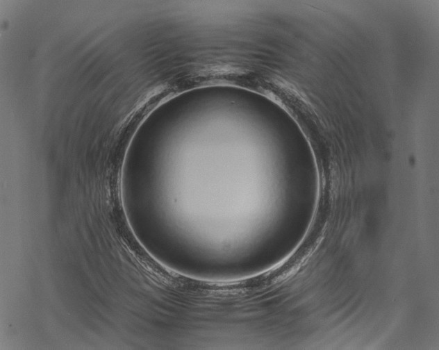 X0000070211305200605301352