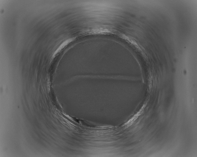 X0000070211306200605301352