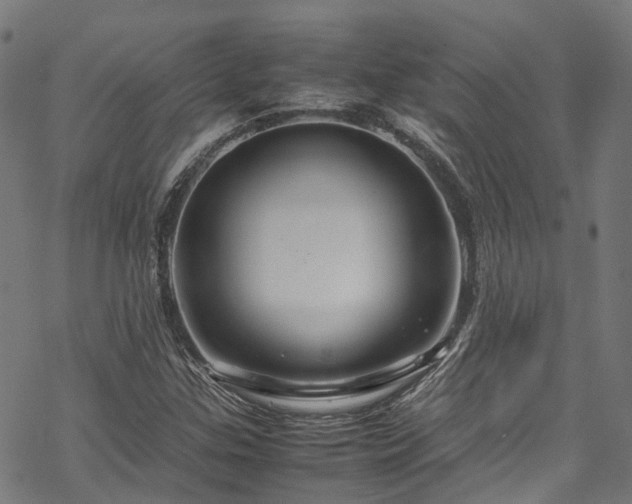 X0000070211307200605301352