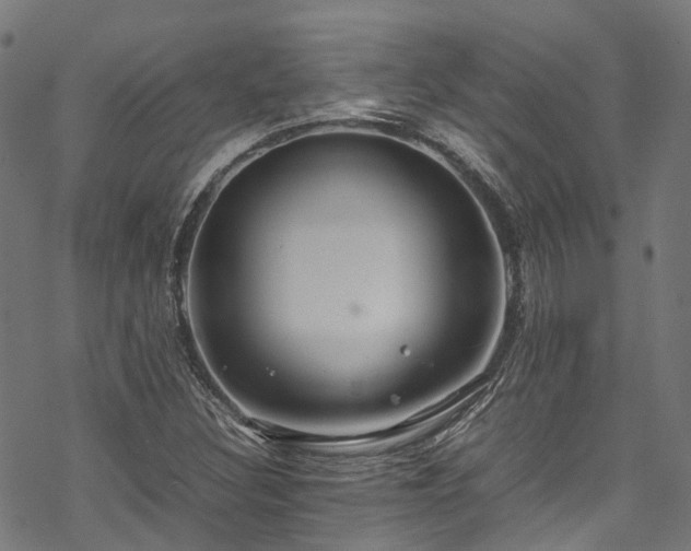 X0000070211308200605301352