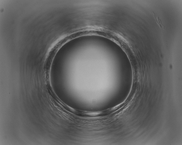 X0000070211310200605301352