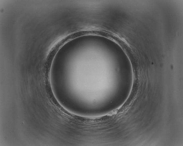 X0000070211311200605301352