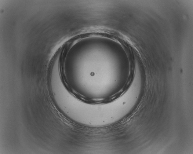 X0000070211312200605301352