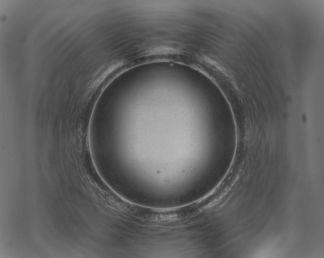 X0000070211313200605301352