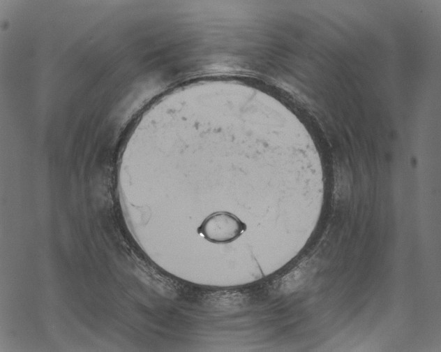 X0000070211314200605301352