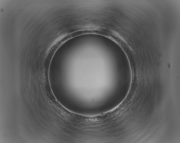 X0000070211315200605301352