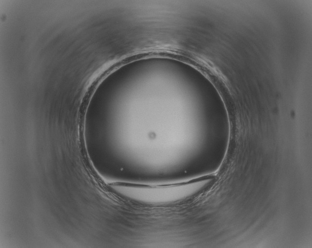 X0000070211316200605301352