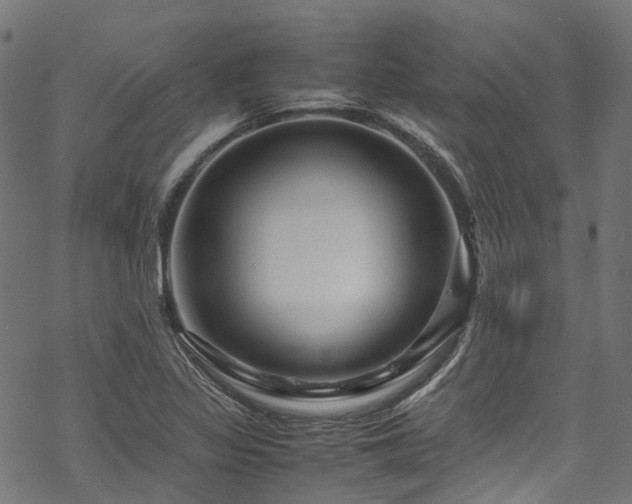 X0000070211317200605301352