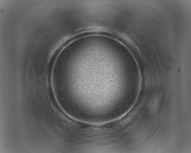 X0000070211318200605301352