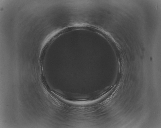 X0000070211319200605301352