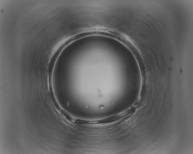 X0000070211320200605301352