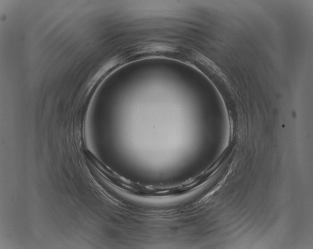 X0000070211321200605301353