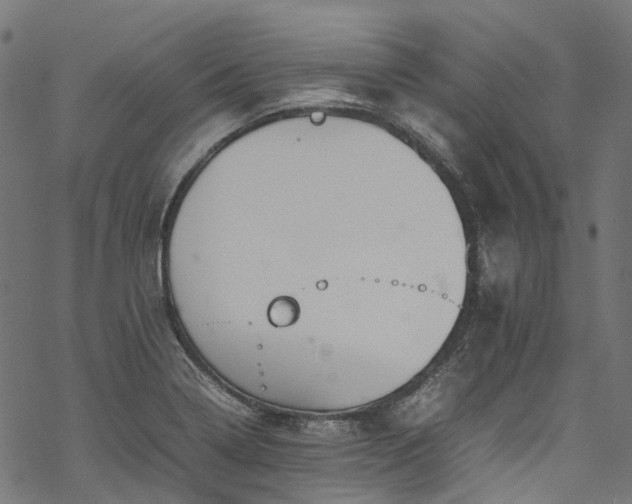 X0000070211322200605301353