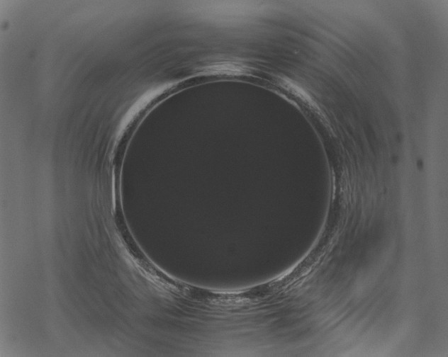 X0000070211323200605301353