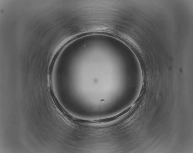 X0000070211324200605301353