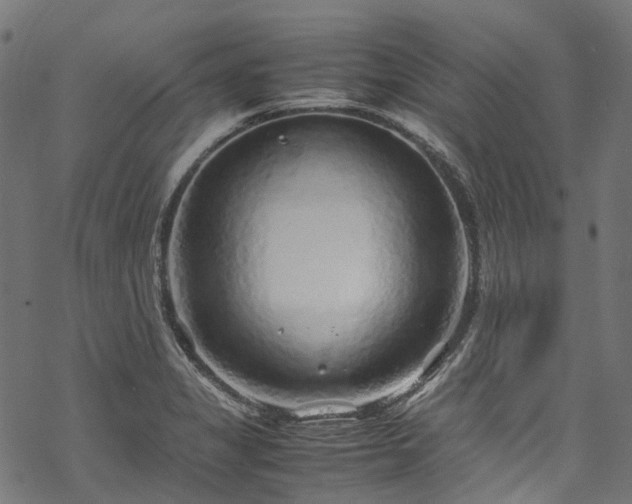 X0000070211325200605301353