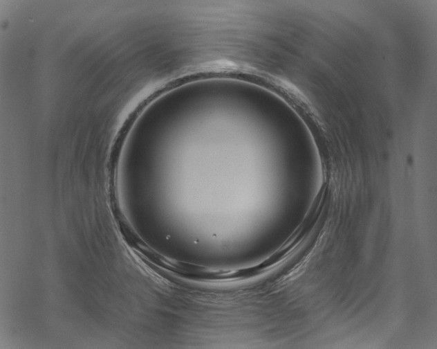 X0000070211326200605301353