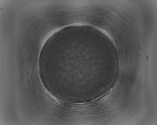 X0000070211327200605301353