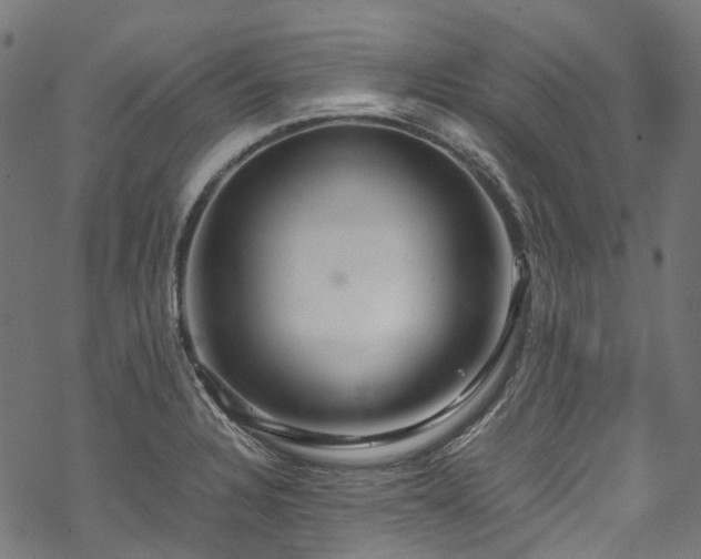 X0000070211328200605301353