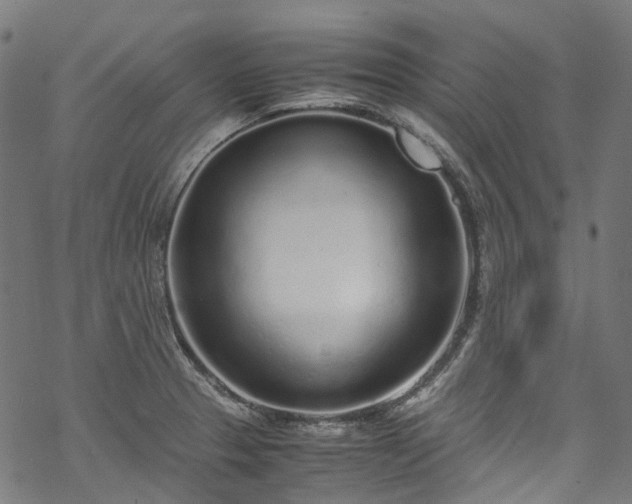 X0000070211329200605301353