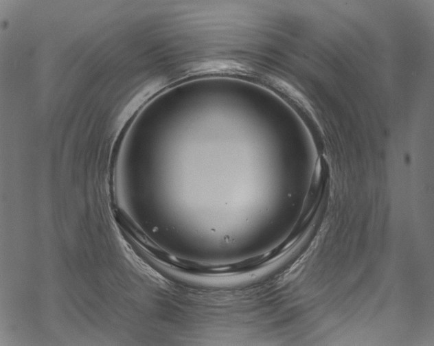 X0000070211330200605301353