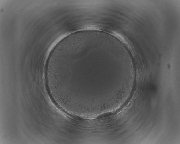 X0000070211331200605301353