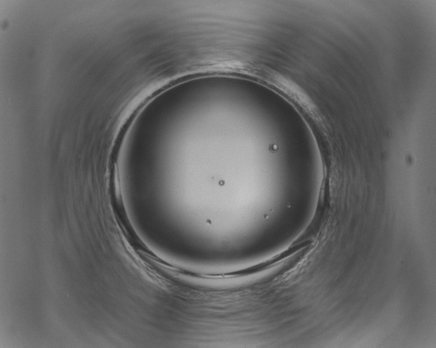 X0000070211332200605301353