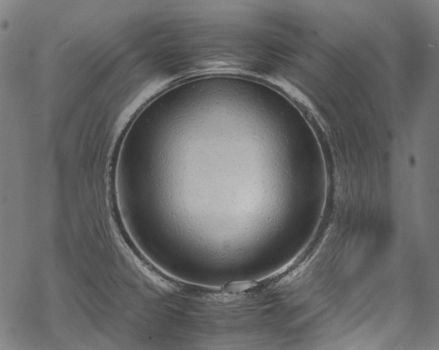 X0000070211333200605301353