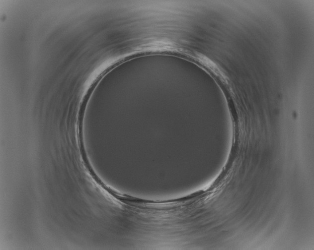 X0000070211334200605301353