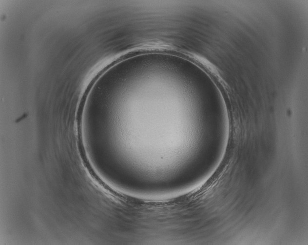 X0000070211335200605301353