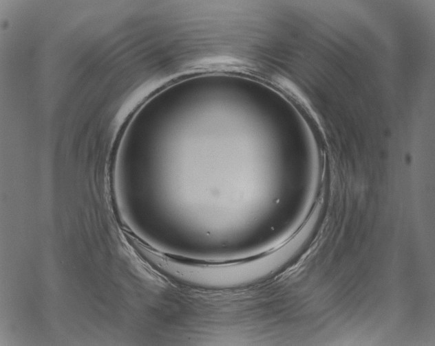 X0000070211336200605301353