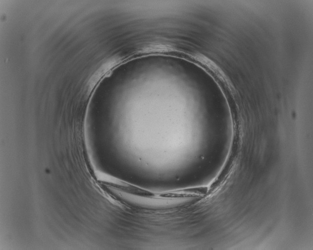 X0000070211337200605301353