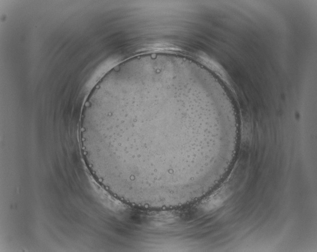 X0000070211338200605301353