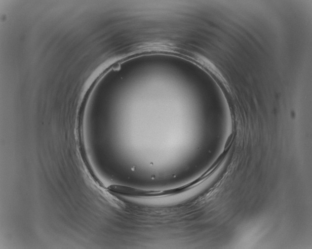 X0000070211339200605301353